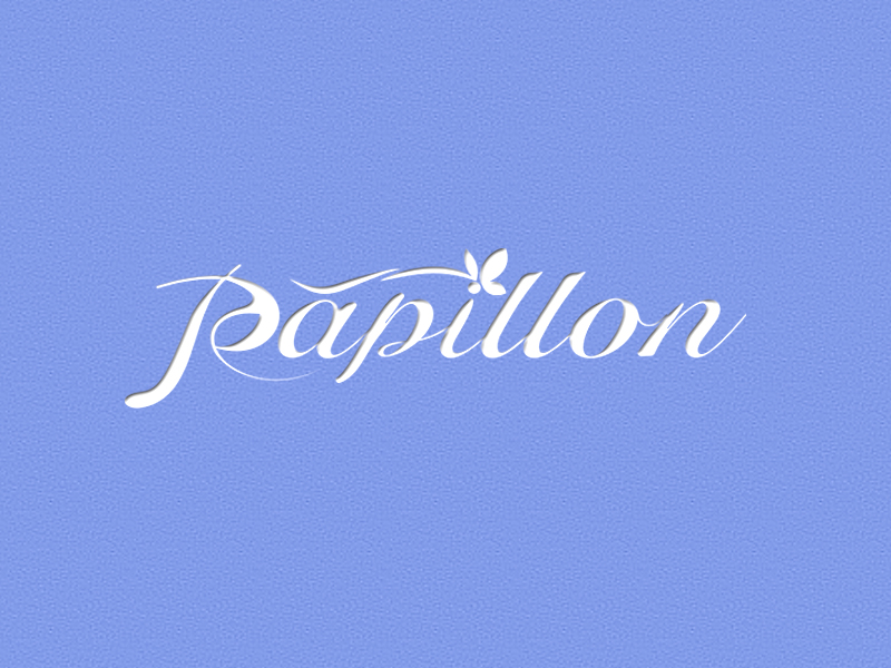 李杰的PAPILLONlogo設(shè)計