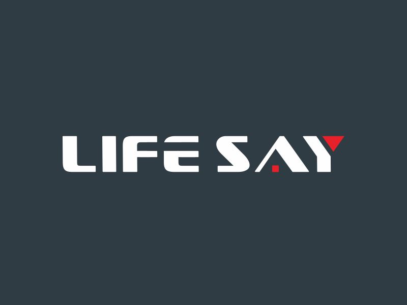 陳波的logo設(shè)計(jì)